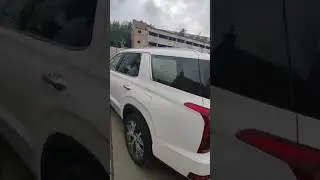 СВХ Владивосток