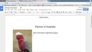 Google Docs - Inserting Header & Footer