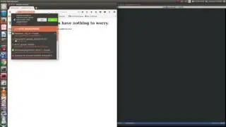 EC521group 8 Finalproject Man-in-the-middle attack on HTTPS