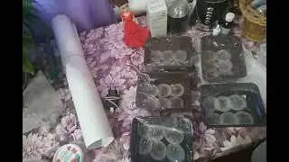 Бонусы от пересорта.Семена от Табакевича.