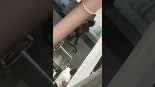 Spa girls fight in mall #spa #girls #massage #thailand #fight
