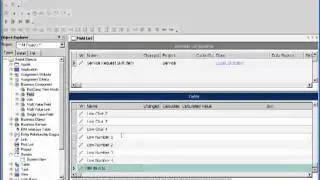Siebel Assignment Manager - Skills and Skill Items