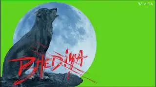 green screen bhediya sujit edit master 🖥️#bhediya #movie #varundhawan #greenscreen