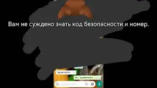 Смешная переписка. "Вы же Аниматор"