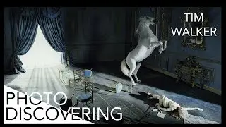 TIM WALKER ( the great photographers) PHOTOS DISCOVERING