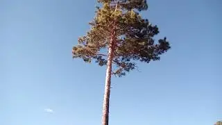 Road of health.  Part 1.