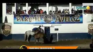 BOI BLACK DESAFIO AVELOZ 2019!!!