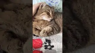Как научить детей хорошему 😁🤣😆