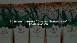 Розы питомника Imperial Rose. Обзор саженцев почтой.