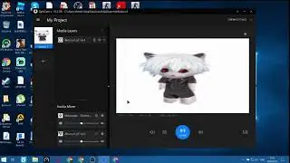 как поставить любое видео вместо вашей вебки