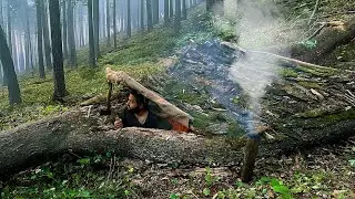 Building a SECRET SHELTER inside BIG TREE - Warm and Cozy Bushcraft Survival Dugout
