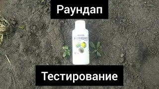 Средство от сорняков Раундап (гербицид). Тестирование.