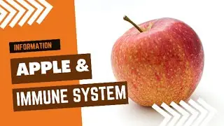 1 food to boost your immunity | how to boost immunity naturally