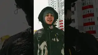 как орут чайки