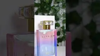 ✨Hot Newness from @rojaparfums #womensperfume #perfume #fragrance