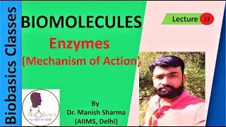 Mechanism of Enzyme Action: Biomolecules (NCERT 9th Chapter and NEET)
