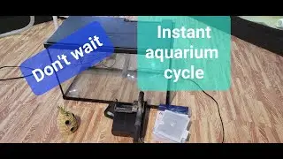 Instantly cycle your new aquarium