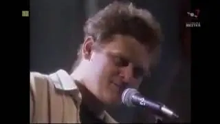 Kazik Na Żywo - Koncert Kraków 95