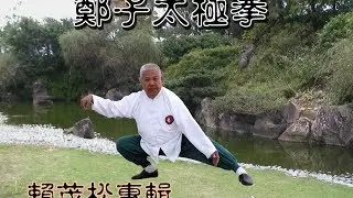 鄭子太極拳37式-賴茂松示範@教學,TaiChi 健康, 養身