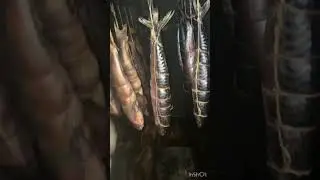 Скумбрия горячего копчения ,просто,быстро,вкусно.#скумбрия