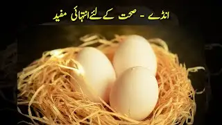 Egg ke faayde aur nuksaan | Egg ke faayde | Egg ke nuksaan | Egg : Harmful or Beneficial ?