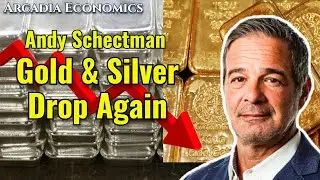 Andy Schectman: Gold and Silver Drop Again