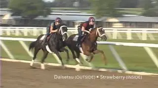 Daisetsu_Strawberry_BR