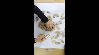 DIY Driftwood Heart Decor | #shorts