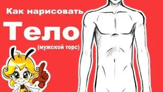 Как рисовать мужское тело.