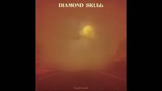 Diamond Skull - Dark Wings