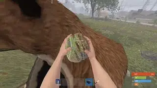 bear rug jump scare | Rust Shorts