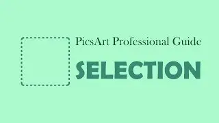 PicsArt Professional Guide | How to use Selection Tool like professional by using PicsArt