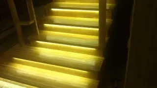 Лестница из лиственницы с диодной подстветкой. Фанерный каркас