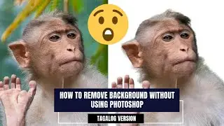 How to remove image background in just seconds without using Photoshop - Tagalog Version