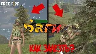 Топ 5 багов/нычек/Snark/на пальме🌴