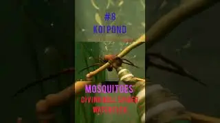 Ranking Grounded Biomes Based On Difficulty Part 1 #shorts #grounded