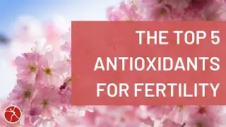 Boost Your Fertility: Top 5 Antioxidants