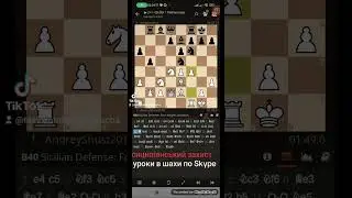 Уроки в шахи по Skype або в Кафе Авенір Плаза Буча Андрій Шуст