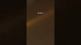 Saluki - SOLO (сниппет 4//10//20)