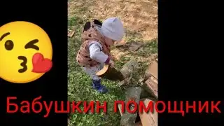 Мой маленький помощник!