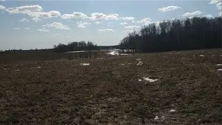 Поиск кладов и монет. Ищем и находим то, что не нашли другие.