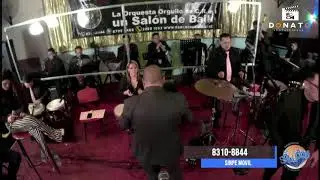 Piel Canela- Orquesta La Solución- Will Matamoros.