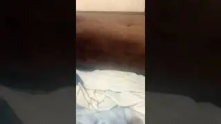 давно видели мультяшные акции у меня есть вся коллекция только пятачка не хватает (секрет!)