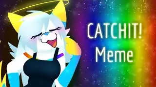 CATCHIT! - Animation Meme