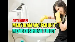 DREAM MEANING OF CLEANING A TOILET | DREAM OF A TOILET FULL OF FECES | DREAM OF CLEANING A CLOGGE...