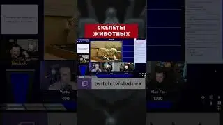 СВОЯ ИГРА ► СКЕЛЕТЫ ЖИВОТНЫХ