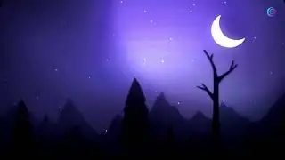 Evolution Discord