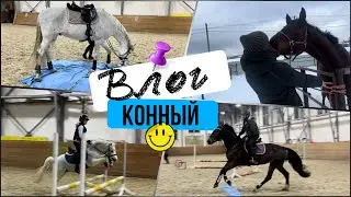 Конный ВЛОГ / заездка лошади / конкурные тренировки / бешеный пони