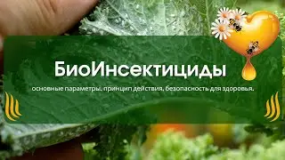 Био Инсектициды основные параметры, принцип действия, безопасность для здоровья.