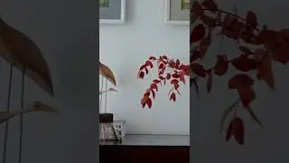 Про общее и частное